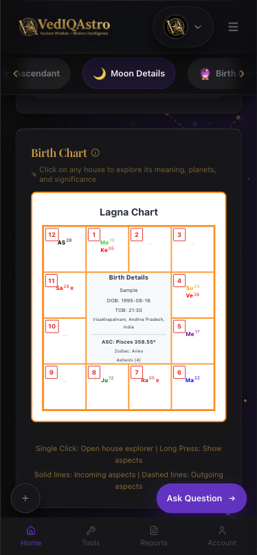 Birth chart view on phone